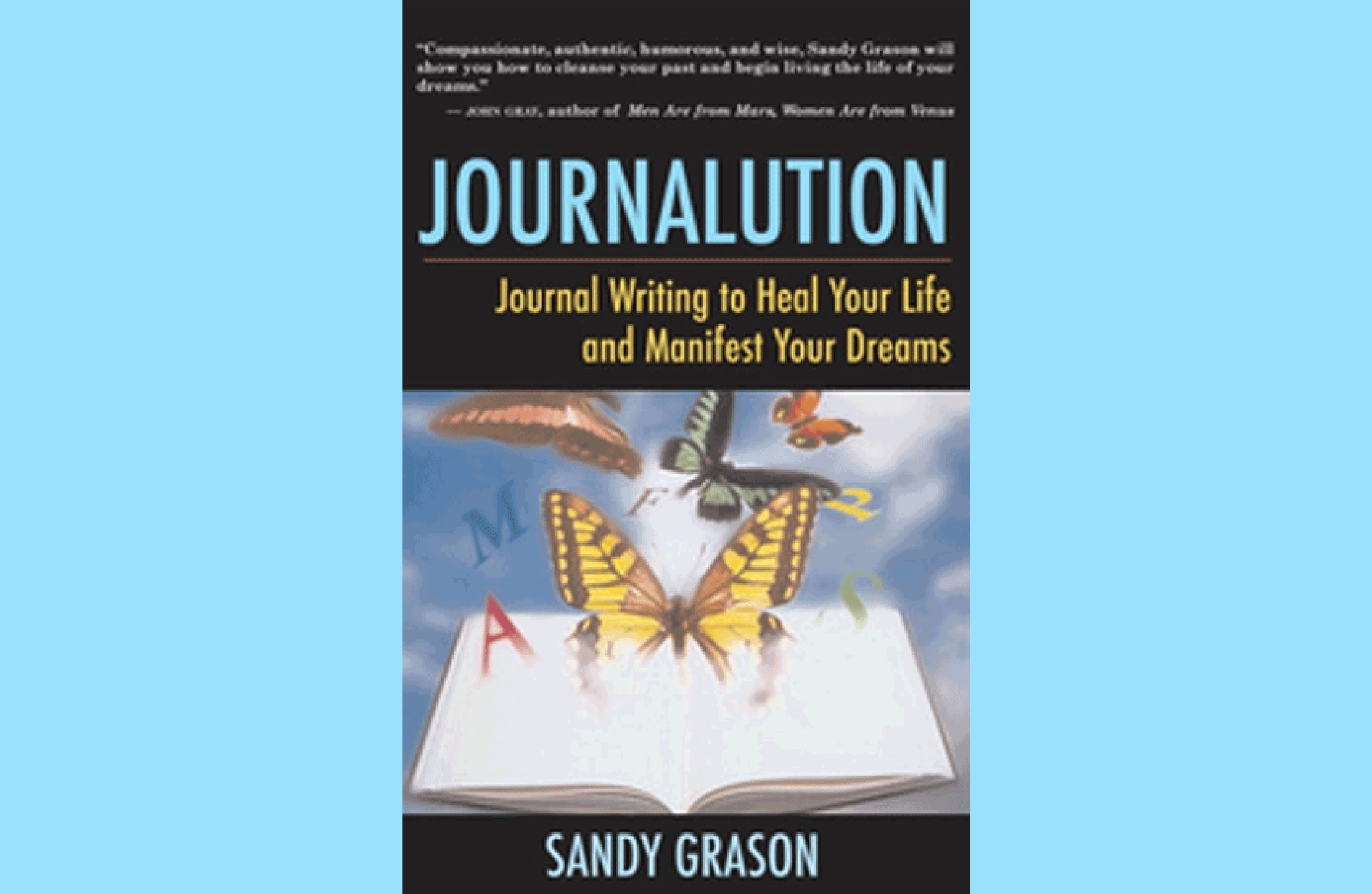 Summary: Journalution by Sandy Grason
