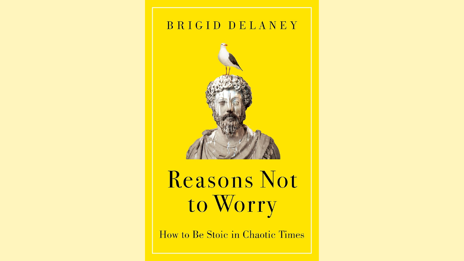 Summary: Reasons Not to Worry by Brigid Delaney