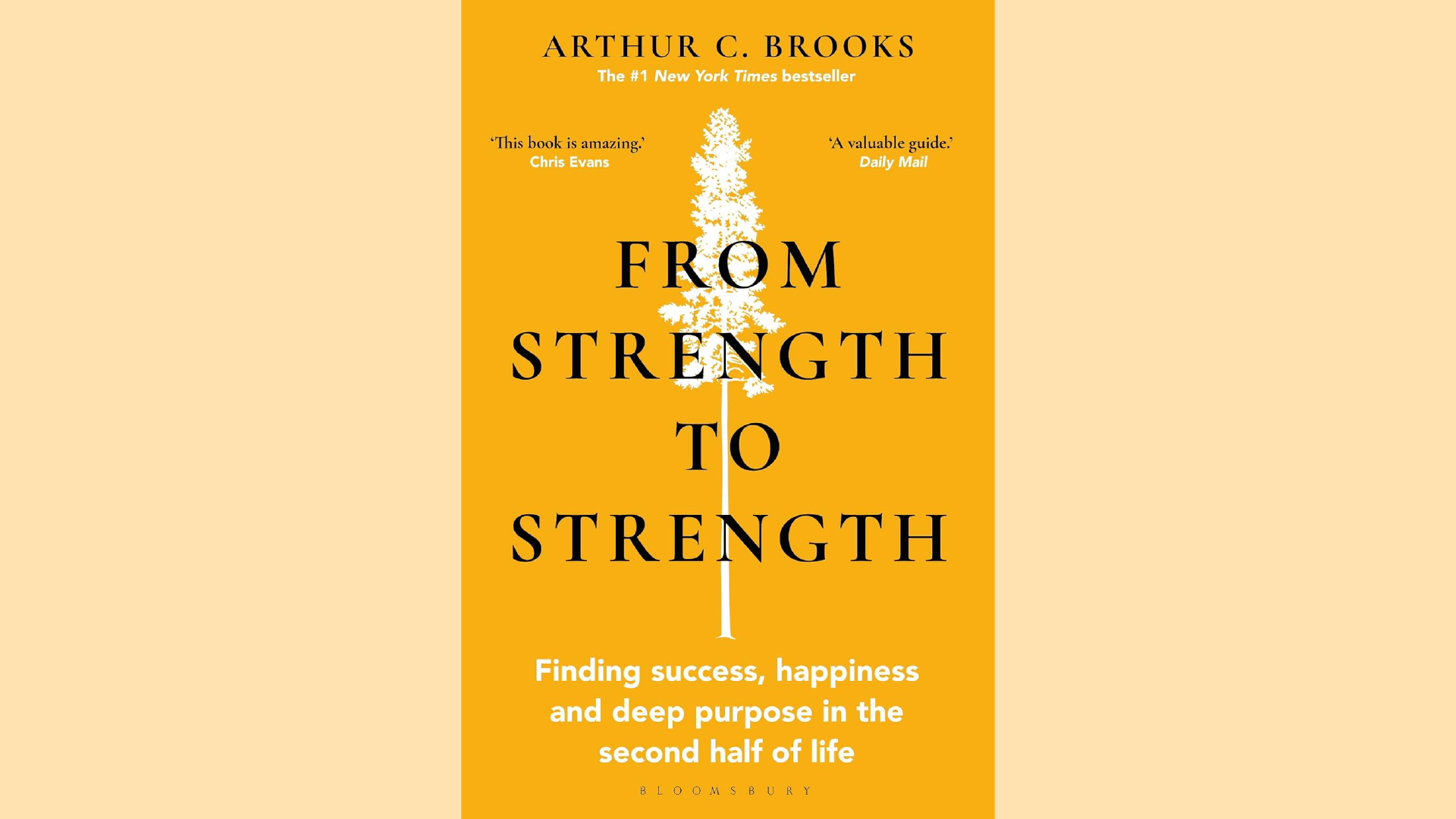 Summary: From Strength to Strength by Arthur Brooks